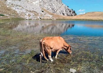 δρακολιμνη