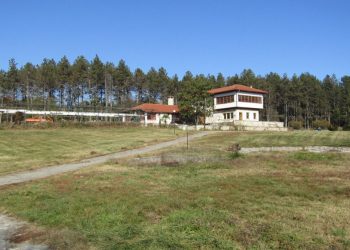 GIANNIOTIKO-e1606482753245