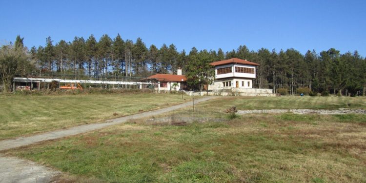 GIANNIOTIKO-e1606482753245