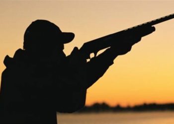 Τρία διαδοχικά περιστατικά λαθροθηρίας στην ΠΕ Ιωαννίνων