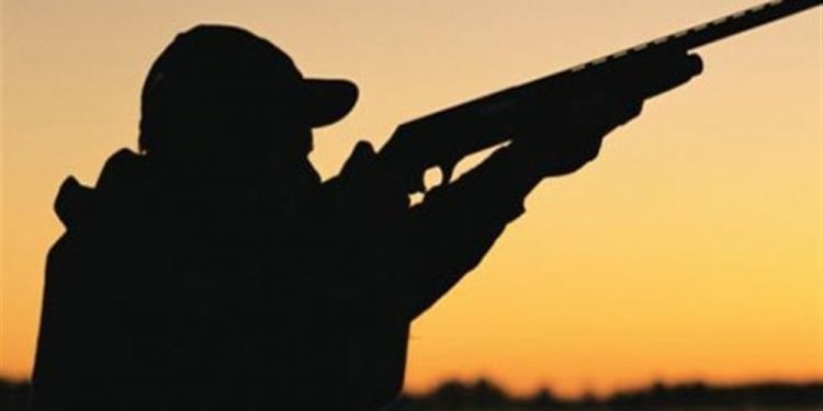 Τρία διαδοχικά περιστατικά λαθροθηρίας στην ΠΕ Ιωαννίνων