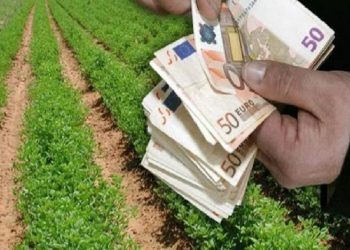 ΟΠΕΚΕΠΕ: Πληρωμές 20,8 εκατ. ευρώ – Ποιοι οι δικαιούχοι