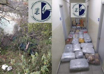 Έκρυψαν σε θάμνους 300 κιλά χασίς στα ελληνοαλβανικά σύνορα στη Θεσπρωτία (βίντεο)