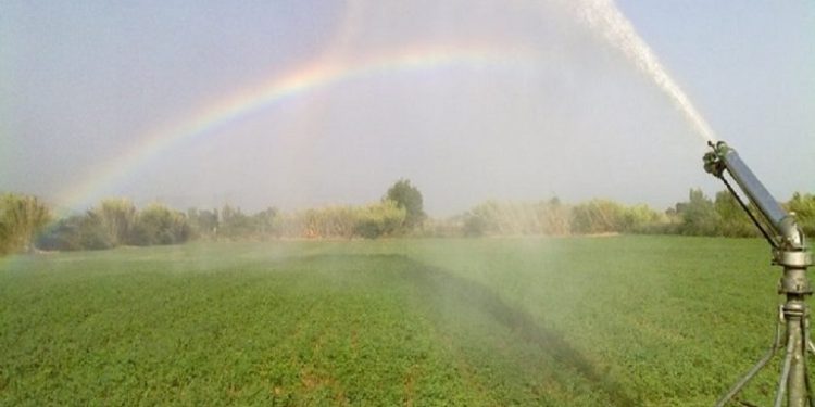 Δημοπρατούνται έργα εκσυγχρονισμού των αρδευτικών δικτύων σε Άρτα- Φιλιάτες