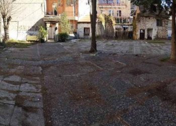 TZAMI_kaloutsa_edited-750x375