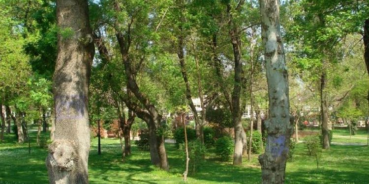 Συνάντηση μεταξύ του ΓΕΩΤΕΕ και του ΓΓ Δασών