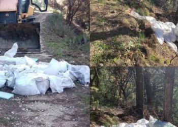 Εικόνες ντροπής στο δάσος Ηγουμενίτσας