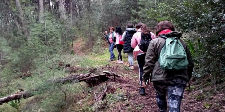 Περίπατος στο πλαίσιο του προγράμματος «Γυναίκα και Άθληση»