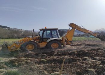 dimotikilaxanokipiokpapa