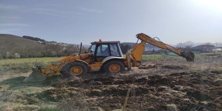 dimotikilaxanokipiokpapa