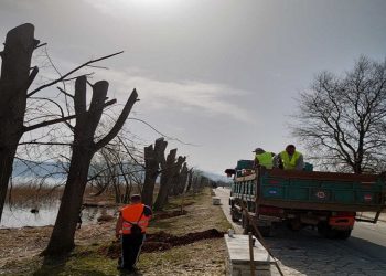 Δενδροφύτευση στην παραλίμνια περιοχή των Ιωαννίνων