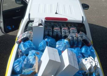 dianomi_trofimon_edited