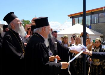 palteia-bartholomaioy