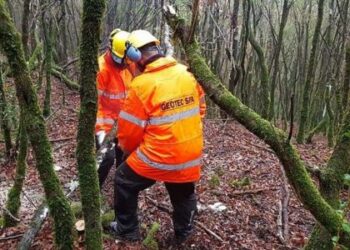 petrelaia-ereuna-p4lii4tv4uoi3totxv4q8j784pmz29a0aaucuwb0s8