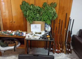 ΚΑΛΛΙΕΡΓΕΙΑ ΝΑΡΚΩΤΙΚΩΝ ΣΤΗΝ ΑΡΤΑ