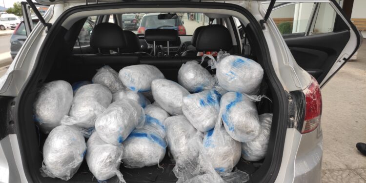 77κιλα-καναβη