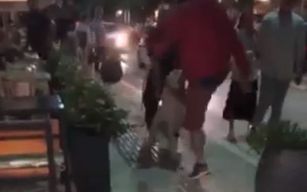 skylos-ioannina-kakopoihsh