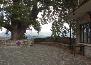 Elati_Zagori_kafeneio