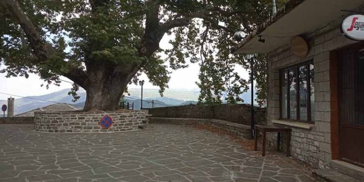 Elati_Zagori_kafeneio