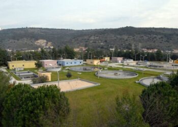 viologikos_arta-1024x565