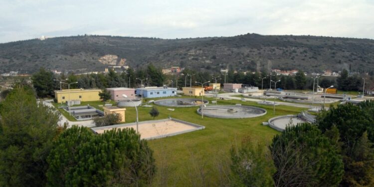 viologikos_arta-1024x565