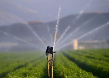 τοεβ-toev-xorafi