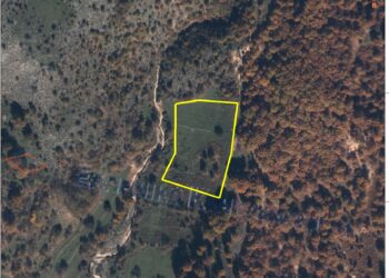 ΕΚΤΑΣΗ ΒΙΟΛΟΓΙΚΟΥ