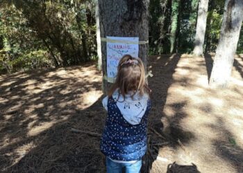 23o ΝΗΠΙΑΓΩΓΕΙΟ ΙΩΑΝΝΙΝΩΝ