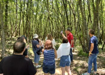 ΔΗΜΝΟΣΙΟΓΡΑΦΟΙ-ΙΣΡΑΗΛ