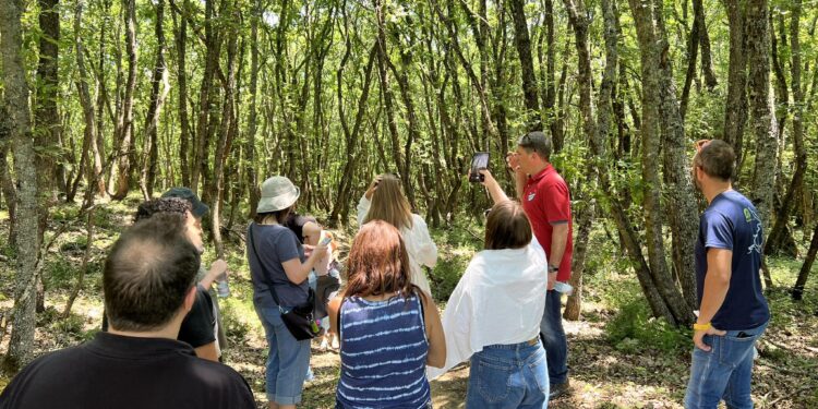 ΔΗΜΝΟΣΙΟΓΡΑΦΟΙ-ΙΣΡΑΗΛ