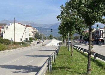 kenan-mesare-230914-750x375