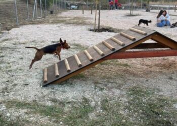 parko-skylonok-750x375