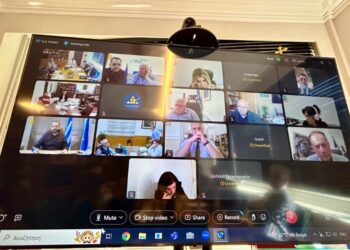 aygenakhs-sxedia-boskhshs