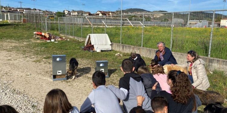 adespota_taistres-750x375