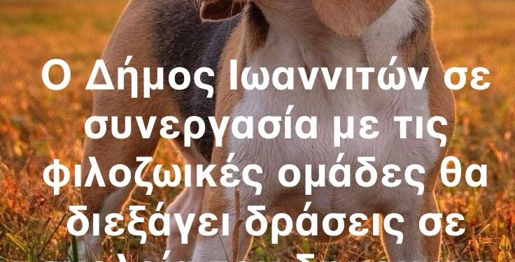 ΗΜΕΡΑ ΑΔΕΣΠΟΤΩΝ