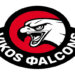 vikos-falcons-2024-696x398