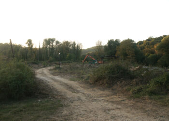 Πλήρης η εγκατάλειψη του Πάρκου της Αγρότισσας