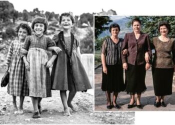 ektesi-monodentri-qqkp9hej9he1p10syzie0dn9yvv6dpb7y7sqh0qkzc