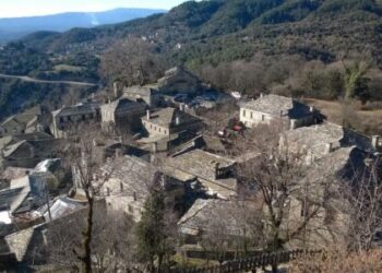 mikro-papigko-