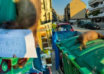 Πέταξαν αγριογούρουνο στα σκουπίδια!