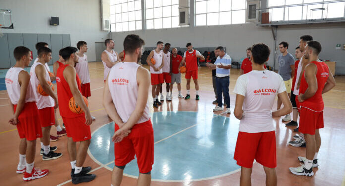 Βάζουν ψηλά τον πήχη οι Vikos Φalcons στην Elite League