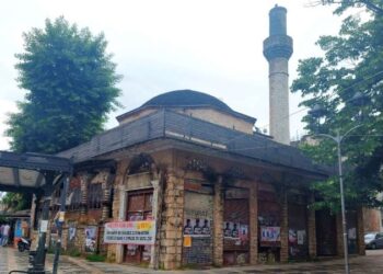 tzami kaloutsiani neo