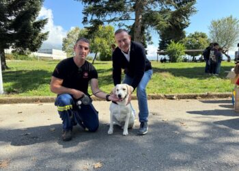 yiothesia_adespota_ioannina-2