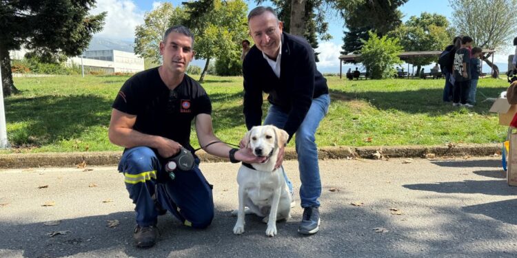 yiothesia_adespota_ioannina-2