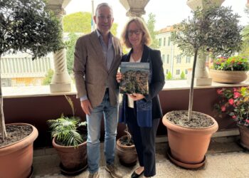 ΠΡΕΣΒΗΣ ΑΥΣΤΡΙΑΣ