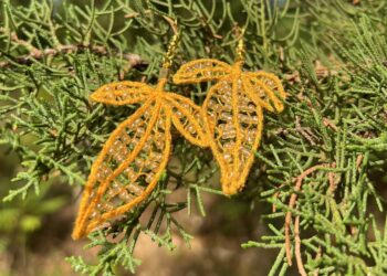 ΣΚΟΥΛΑΡΙΚΙΑ 1