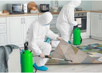 Απολυμάνσεις και απεντομώσεις στην Κομοτηνή: Εξειδικευμένες υπηρεσίες για το σπίτι και τον χώρο σας