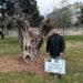 Ο δήμος Ιωαννιτών προχώρησε στη φύτευση 6 αιωνόβιων και υπεραιωνόβιων ελιών