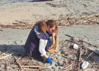 Παράκτιοι και υποβρύχιοι καθαρισμοί στα παράλια της Ηπείρου