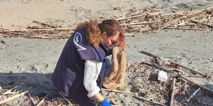 Παράκτιοι και υποβρύχιοι καθαρισμοί στα παράλια της Ηπείρου
